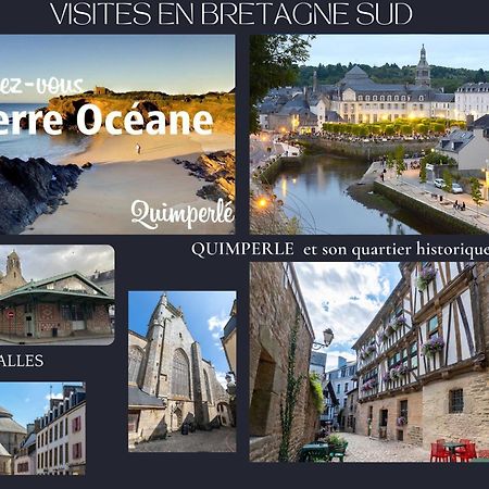 O Studio Terrasse - Centre Ville De Lorient - Gare Экстерьер фото
